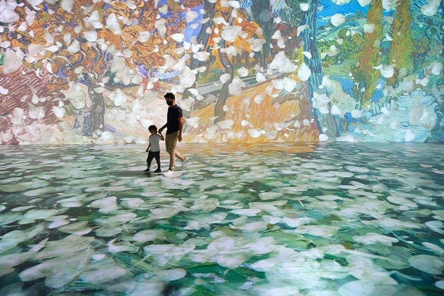 Immersive Beyond Monet